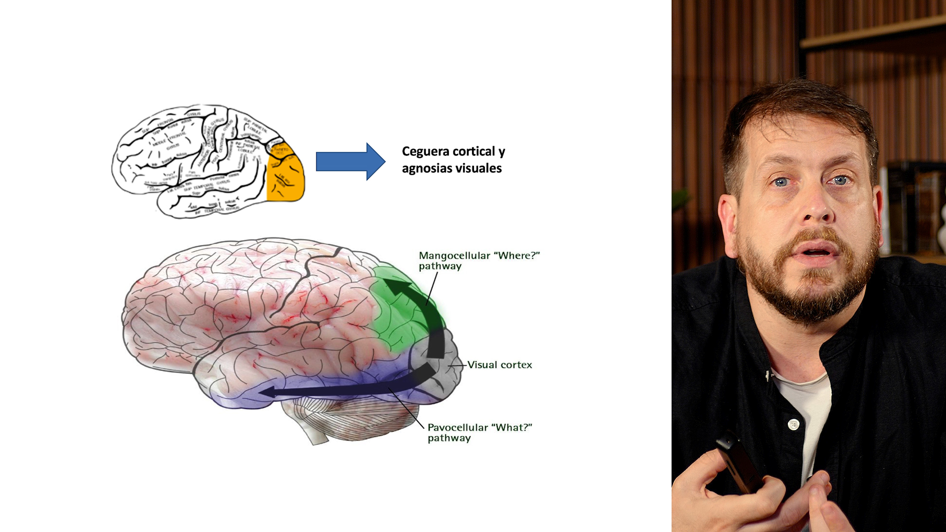 Aarón Fernández del Olmo impartiendo el curso de neuropsicología clínica