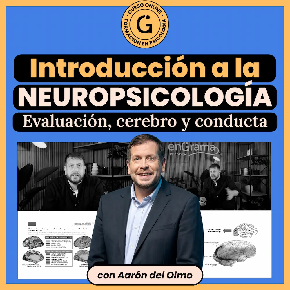 Curso de neuropsicología clínica con Aarón Fernández del Olmo