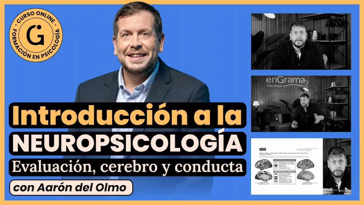 Curso de neuropsicología clínica con Aarón Fernández del Olmo
